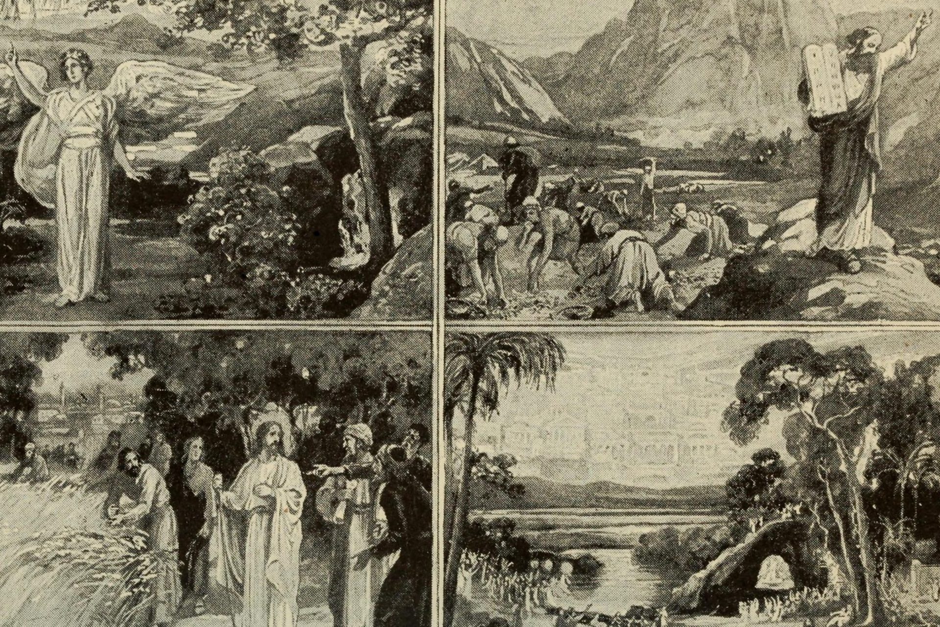 a prediction of future events