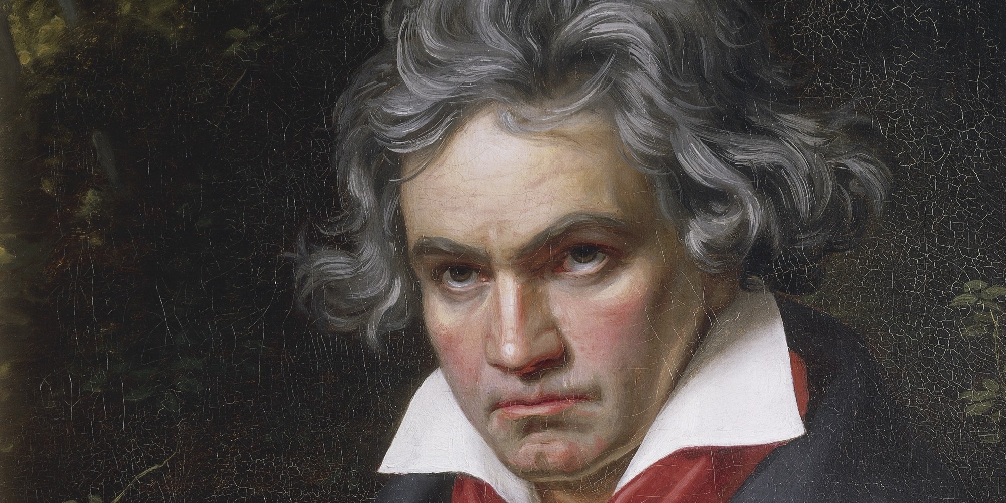 Ludwig van Beethoven _ hisfu.co
